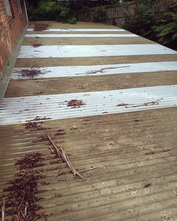 Verandah roof covered in leaves, twigs and grime